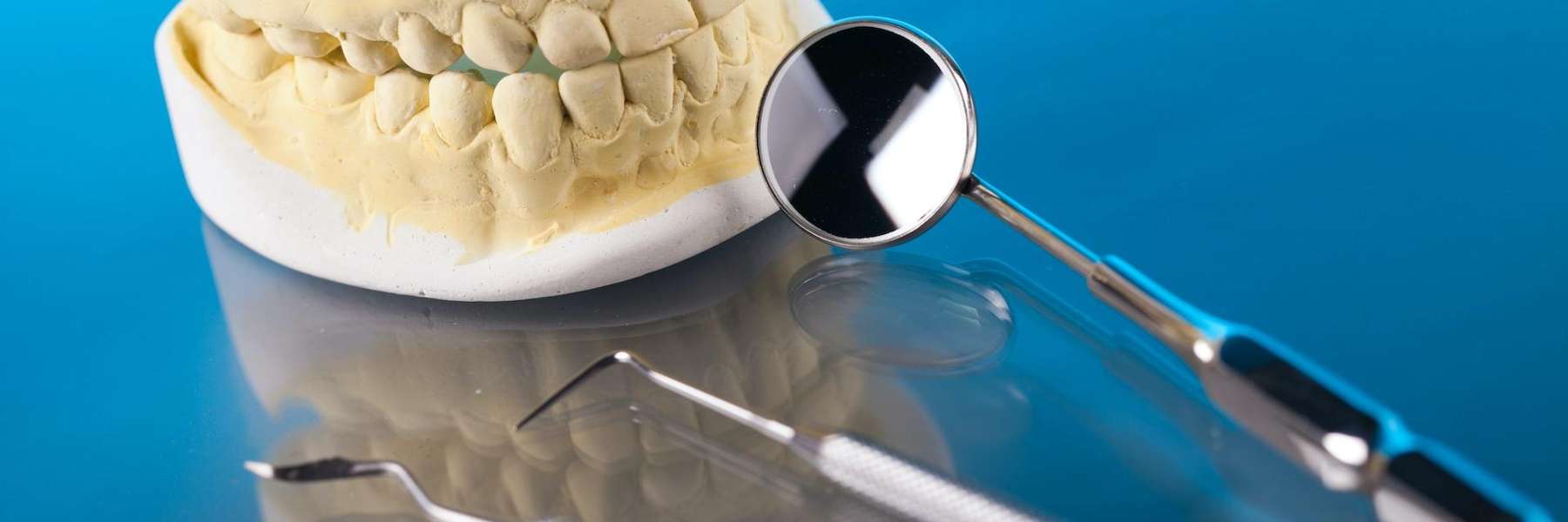 Jaw Model